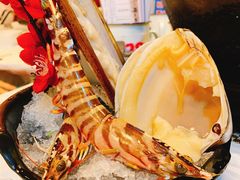 -鲜入围煮花胶鸡海鲜火锅