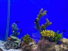 -海合安武汉极地海洋公园