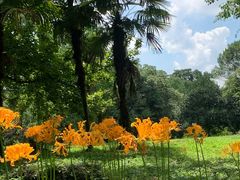 -杭州植物园