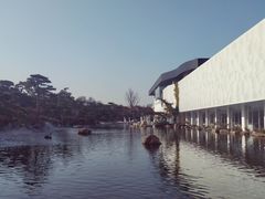 -北京国家会计学院