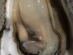 -濠轩阁特色生蚝火锅(水湾路店)
