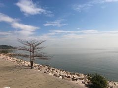 -深圳湾公园(南山区)