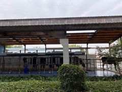 -光明农场大观园