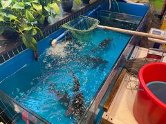 -老关东铁锅炖(上游街店)