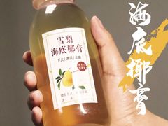 -鹅掂·大岭山烧鹅