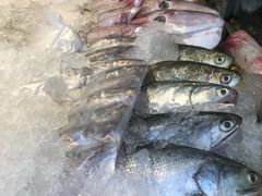 -揭阳钟记小食(福田新村店)