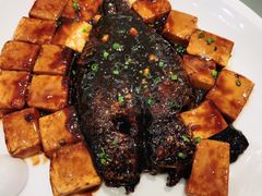 小黄鱼烧豆腐-光明邨大酒家(汇阳广场店)