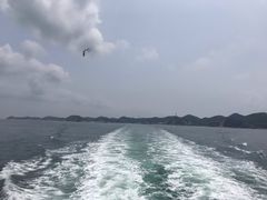 -皮口港