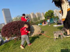 -艾溪湖湿地公园