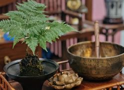 -栖木行空·女子定制美肤·芳香疗愈SPA