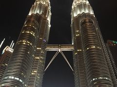 -罗汉果龙眼冰糖燉冬瓜