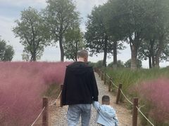 -汉长安城未央宫国家考古遗址公园