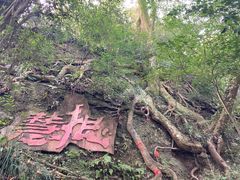 -青城山