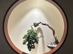 -隐溪茶馆(南京西路店)