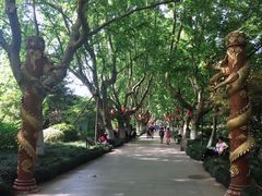 -杭州黄龙洞