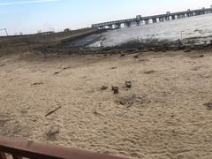 -平湖九龙山旅游度假区