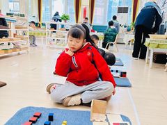 -金牛子韵湖春晓蒙氏幼儿园(洪山校区)