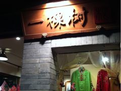 -一棵树(雨儿胡同)