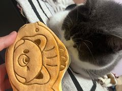 -四川大学(华西校区)