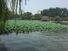 锦江之星(大明湖店)-锦江之星(济南大明湖店)
