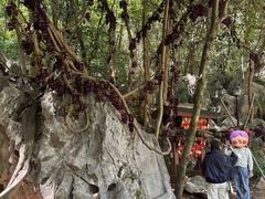 -杭州西湖风景名胜区-三生石