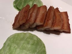 巴马小香猪-西郊壹号