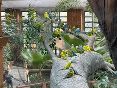 -南宫五洲植物乐园