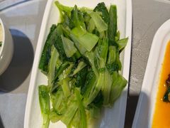 -陈麻婆豆腐(旗舰店)