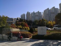 -神仙雪浓汤(弘大店)