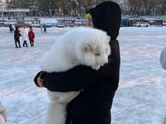 -哈尔滨热雪奇迹