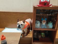 -小豆海棠(人民南路店)