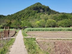 -八卦田遗址公园