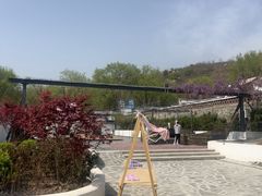 -白水寺森林公园