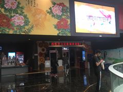 -万达影城(西铁营万达广场IMAX店)