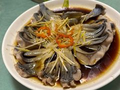 -煲来饱去冷水鱼