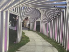 -亚龙湾希尔顿自助餐厅·海鲜·烧烤·沙滩BBQ·现场乐队