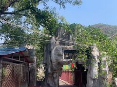 -双新垂钓园