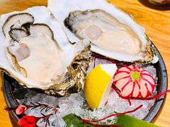 -Hatsune隐泉日式料理(三里屯太古里店)