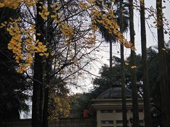 -棕榈泉国际花园1期