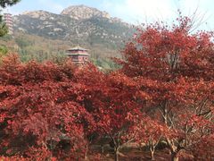 -石岛赤山风景区