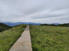-白草畔自然风景区