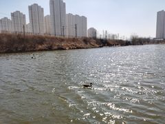 -前关湿地公园