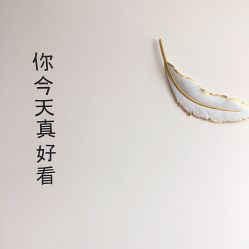 点击看大图 -YIMEI ART半永久纹眉·野生眉