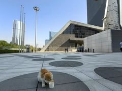 -中央广播电视总台(光华路办公区)