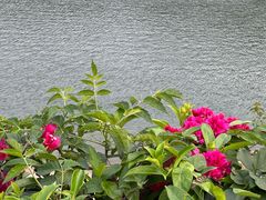 -水濂山森林公园