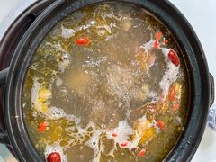 -蘑统田下·野生菌火锅