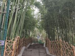 -西安市长乐公园