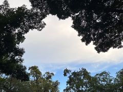 -寻味肇庆·八姑农庄·广府西江菜