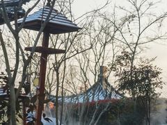 -金沙湖旅游度假区