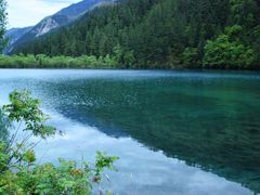 -九寨沟-树正沟